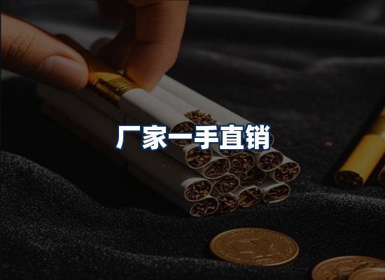 专业团队办公环境